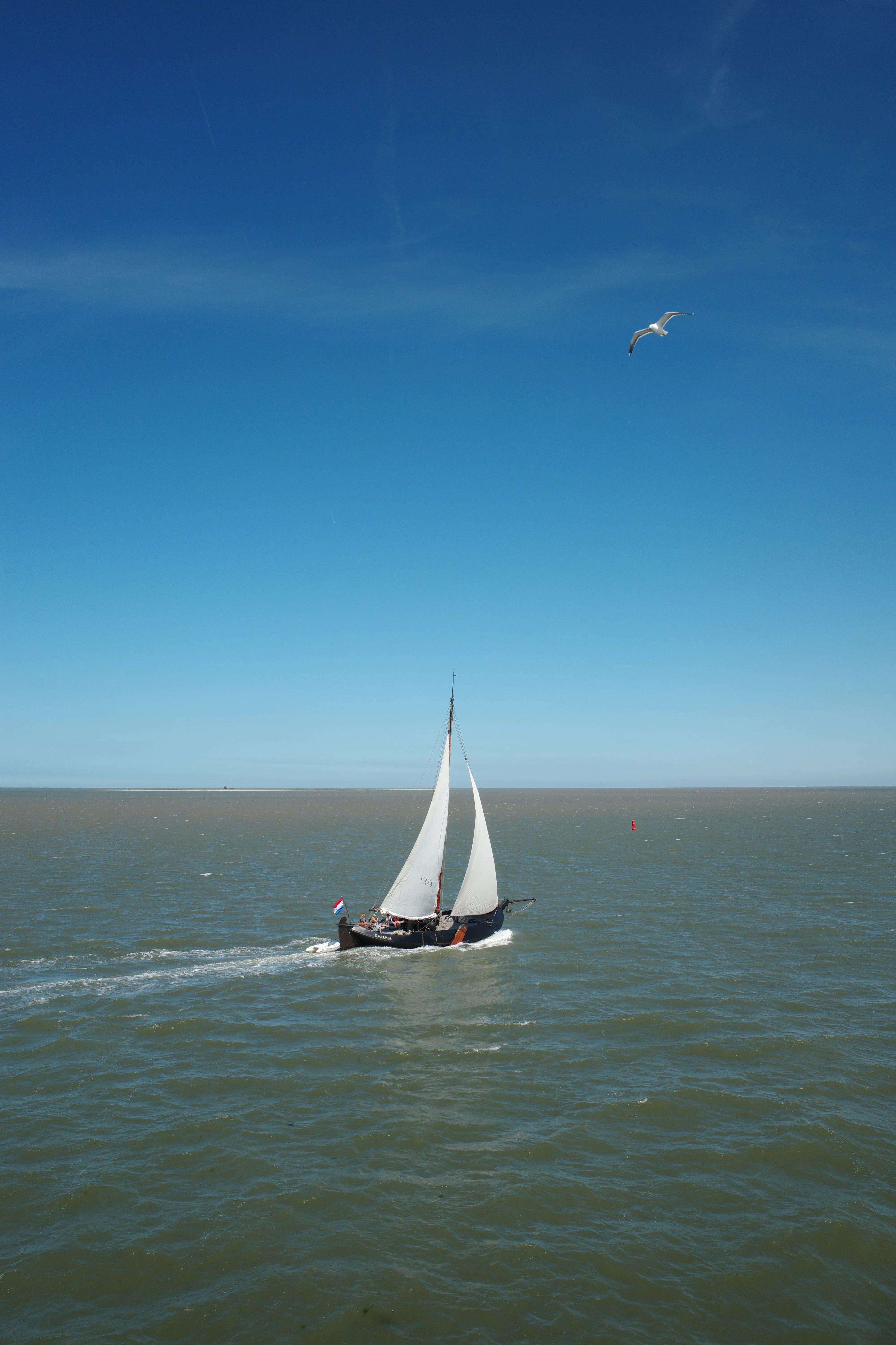 Auf der Fähre nach Vlieland